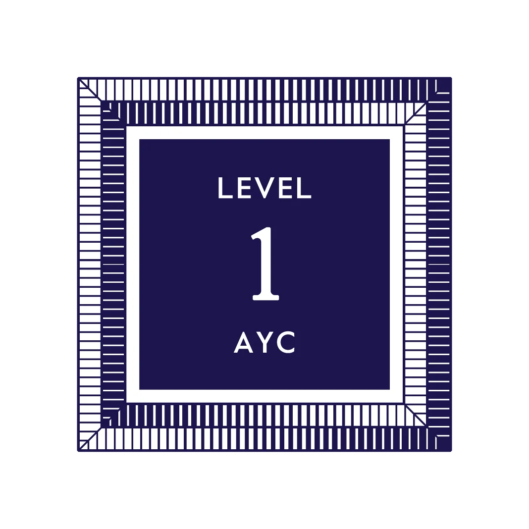 Level 1 Program