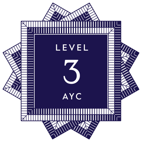 Level 3 Training